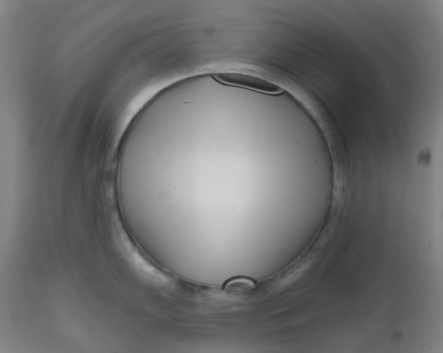 X0000112481102200909071151