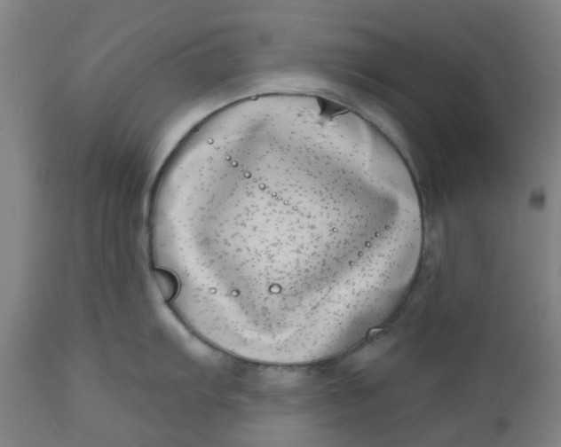 X0000112481103200909071151