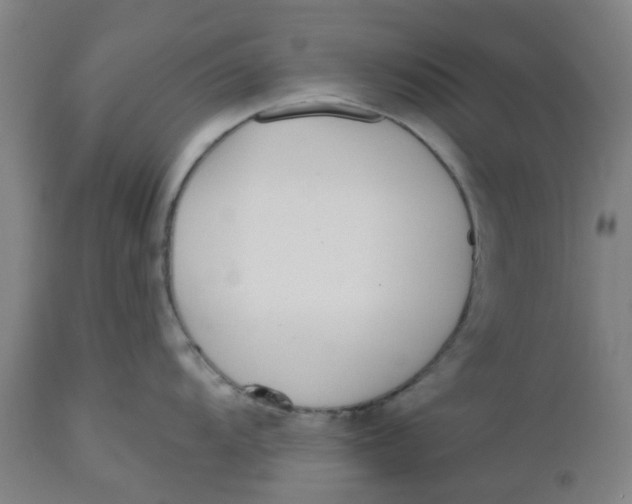 X0000112481104200909071151