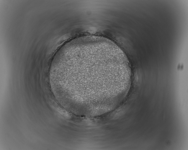 X0000112481105200909071150