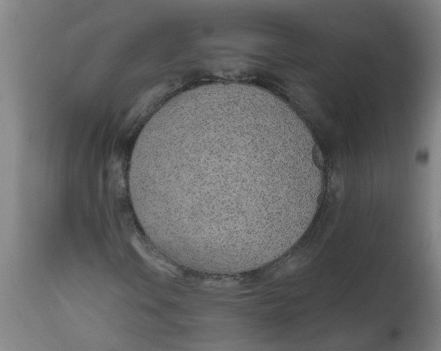 X0000112481106200909071150