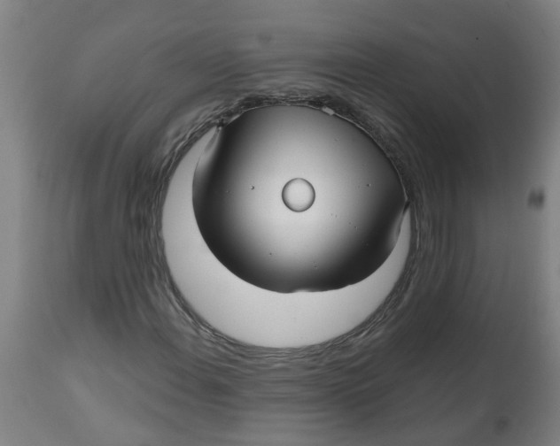 X0000112481108200909071150