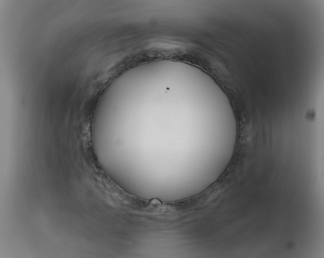 X0000112481109200909071150