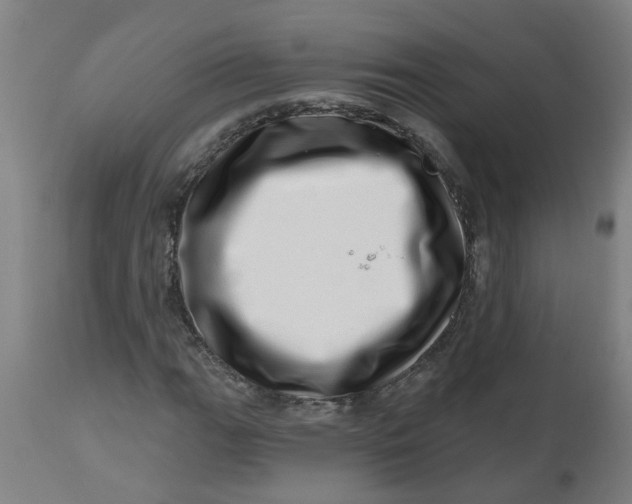 X0000112481111200909071150