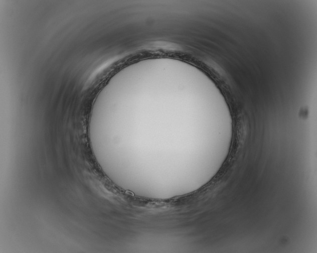 X0000112481112200909071150