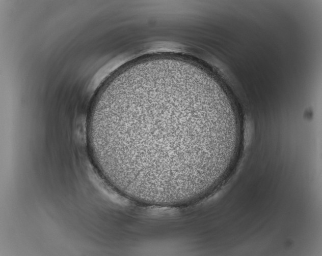 X0000112481113200909071150