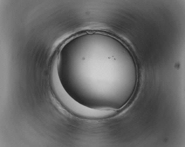 X0000112481114200909071150