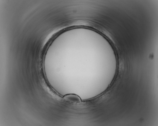 X0000112481116200909071150