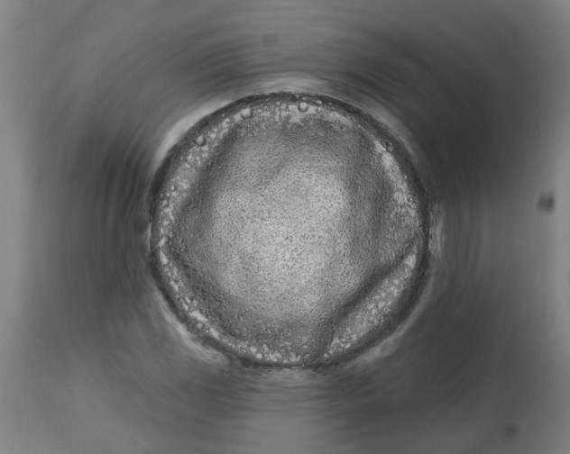 X0000112481117200909071150