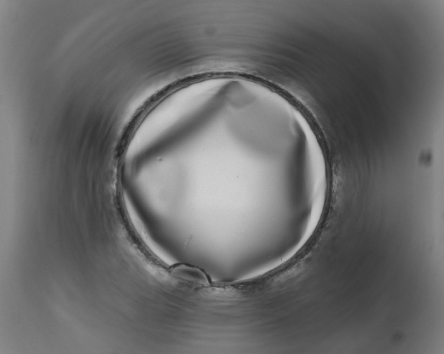 X0000112481119200909071150