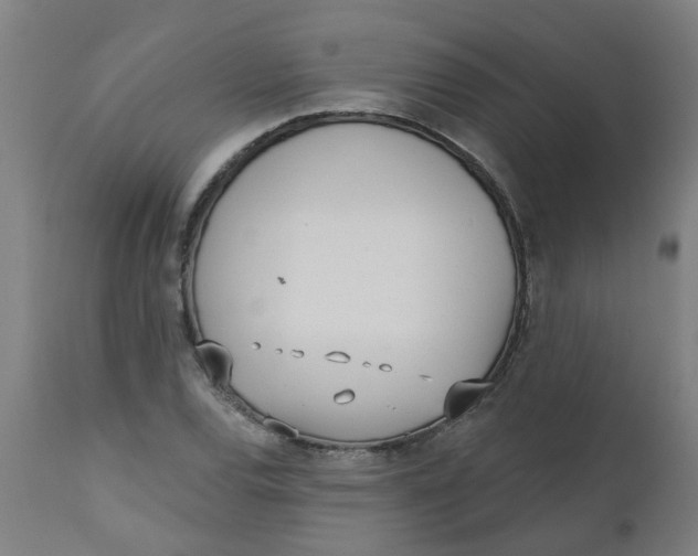 X0000112481120200909071150