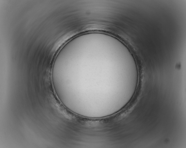 X0000112481121200909071150