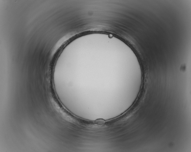 X0000112481122200909071150