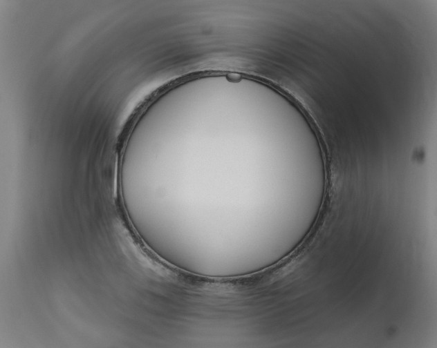 X0000112481123200909071150