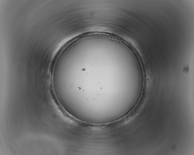 X0000112481125200909071150