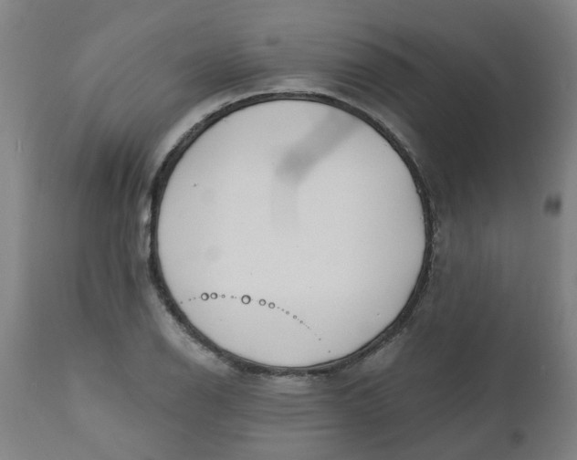 X0000112481126200909071150