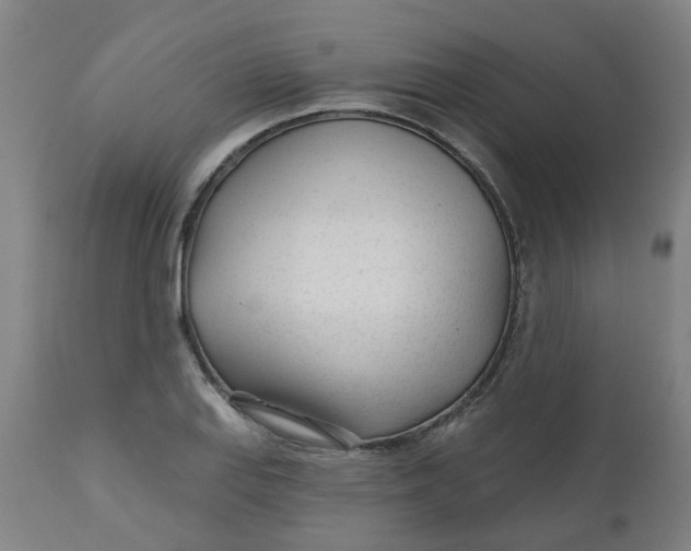 X0000112481127200909071150