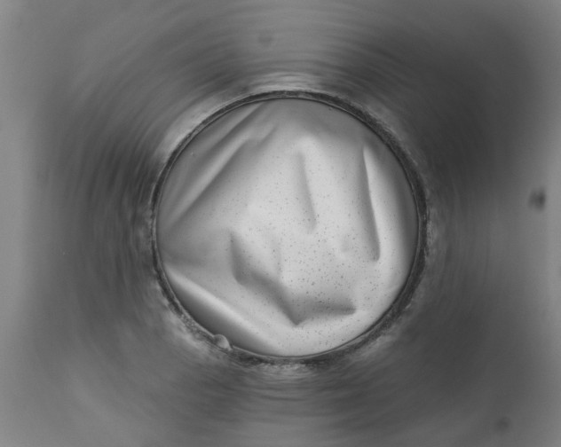 X0000112481129200909071150