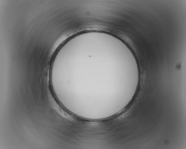 X0000112481130200909071150