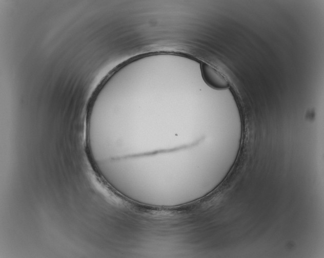 X0000112481132200909071150