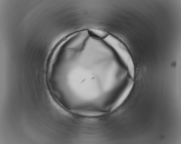 X0000112481135200909071150