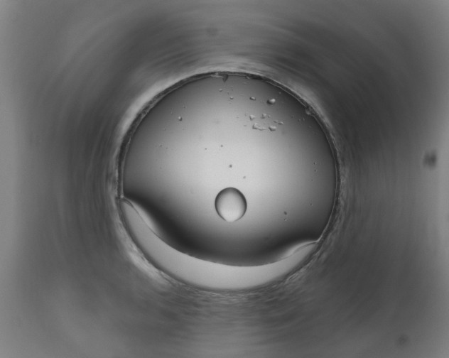 X0000112481136200909071150