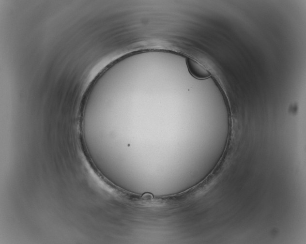 X0000112481141200909071150