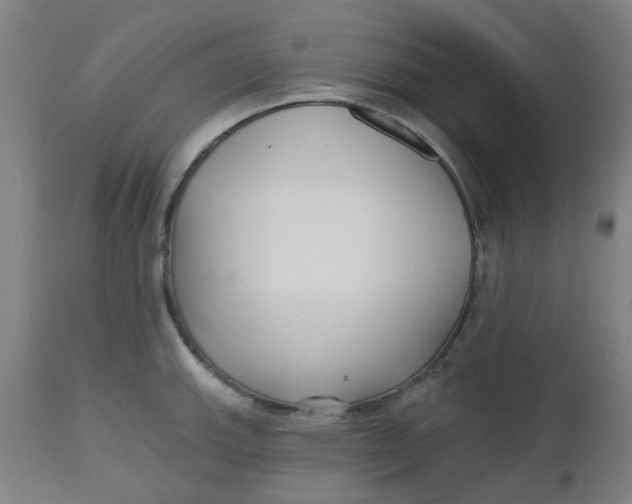 X0000112481143200909071150