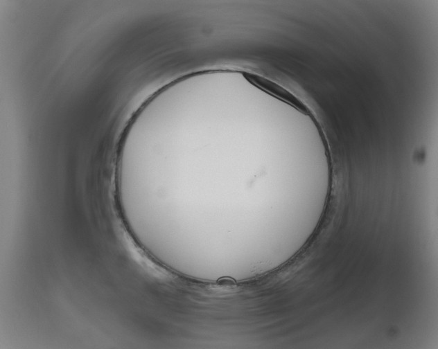 X0000112481144200909071151