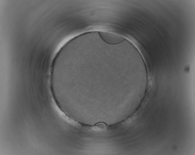 X0000112481147200909071151