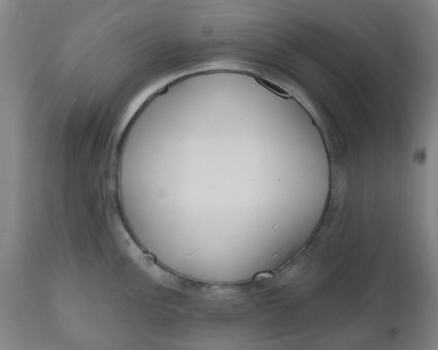 X0000112481148200909071151