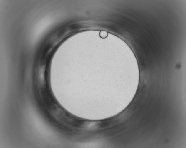 X0000112481150200909071151