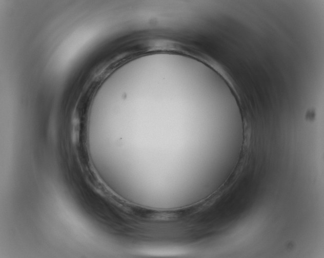 X0000112481151200909071151