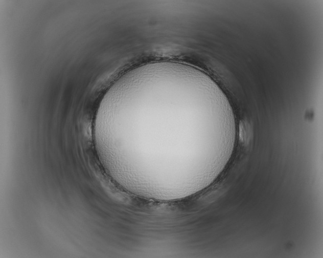 X0000112481155200909071150