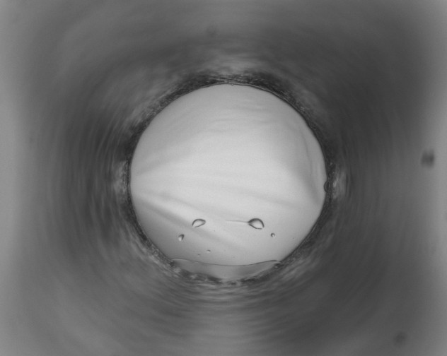 X0000112481156200909071150