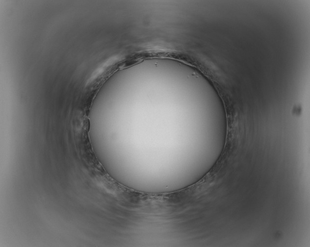 X0000112481157200909071150