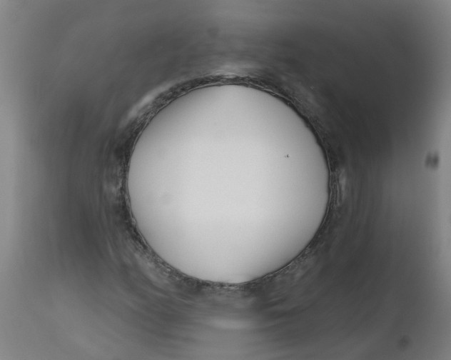 X0000112481158200909071150