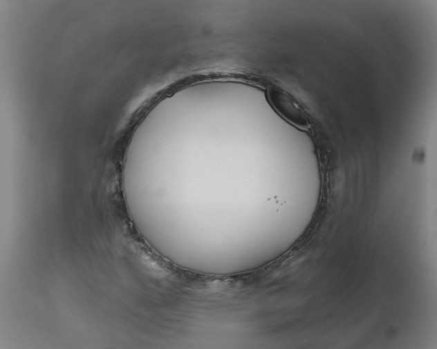 X0000112481160200909071150