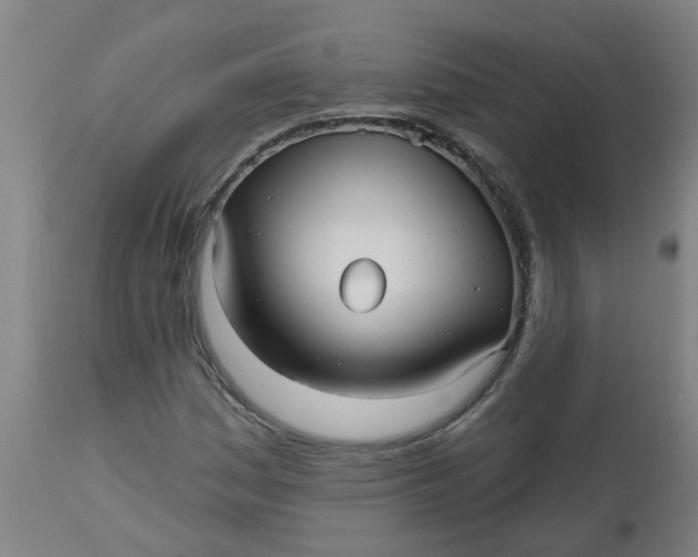 X0000112481161200909071150