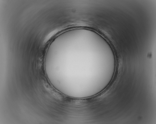 X0000112481163200909071150