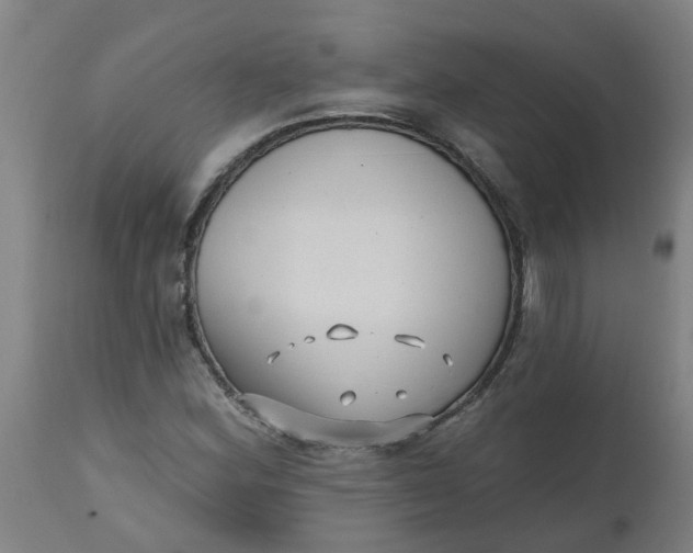 X0000112481164200909071150