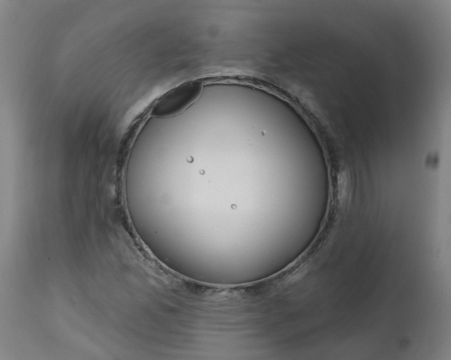 X0000112481165200909071150