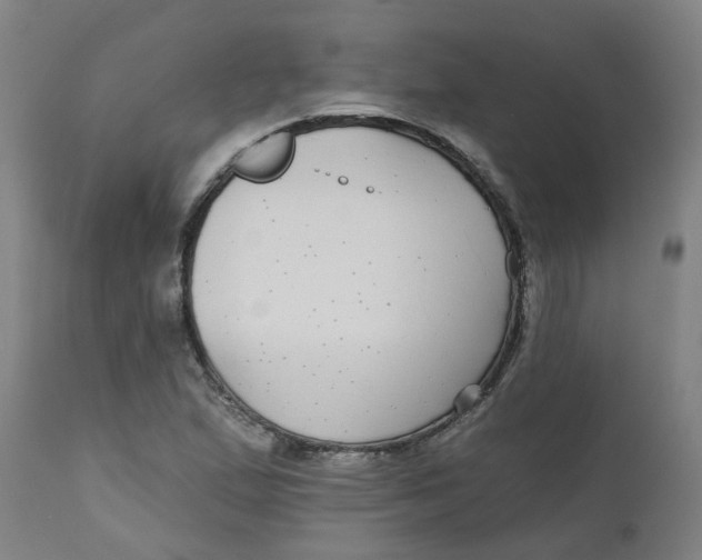 X0000112481167200909071150