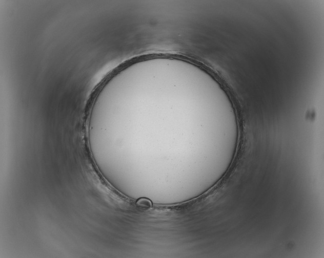 X0000112481168200909071150