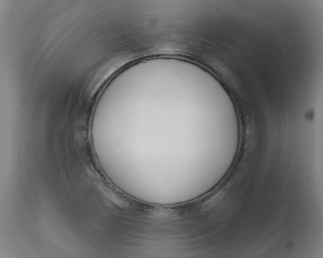 X0000112481170200909071150