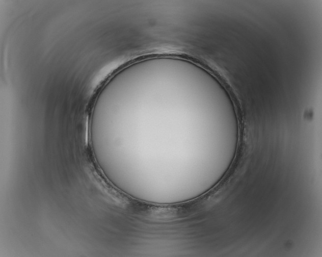 X0000112481171200909071150