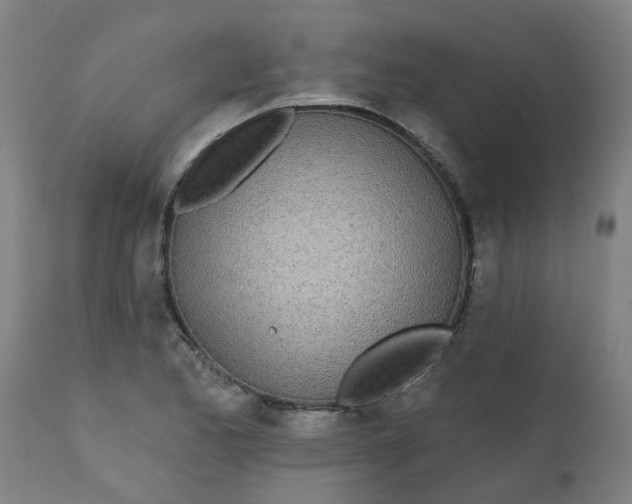 X0000112481173200909071150