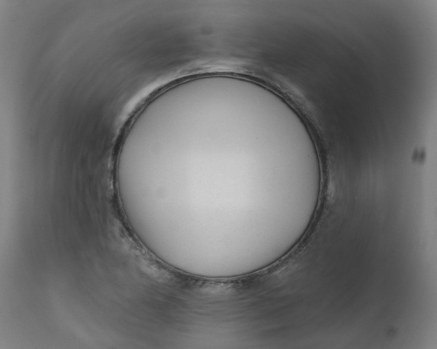 X0000112481174200909071149