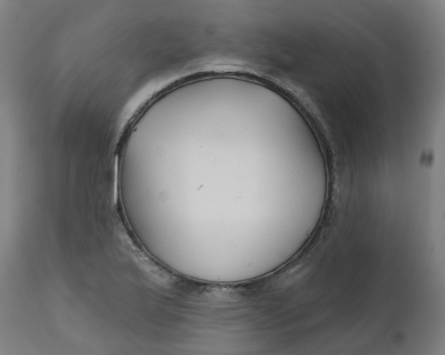 X0000112481175200909071149