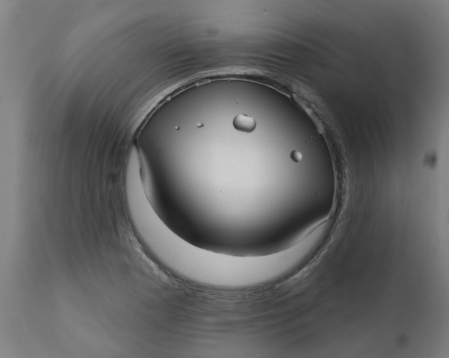 X0000112481177200909071149